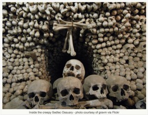 Skulls in Croatia