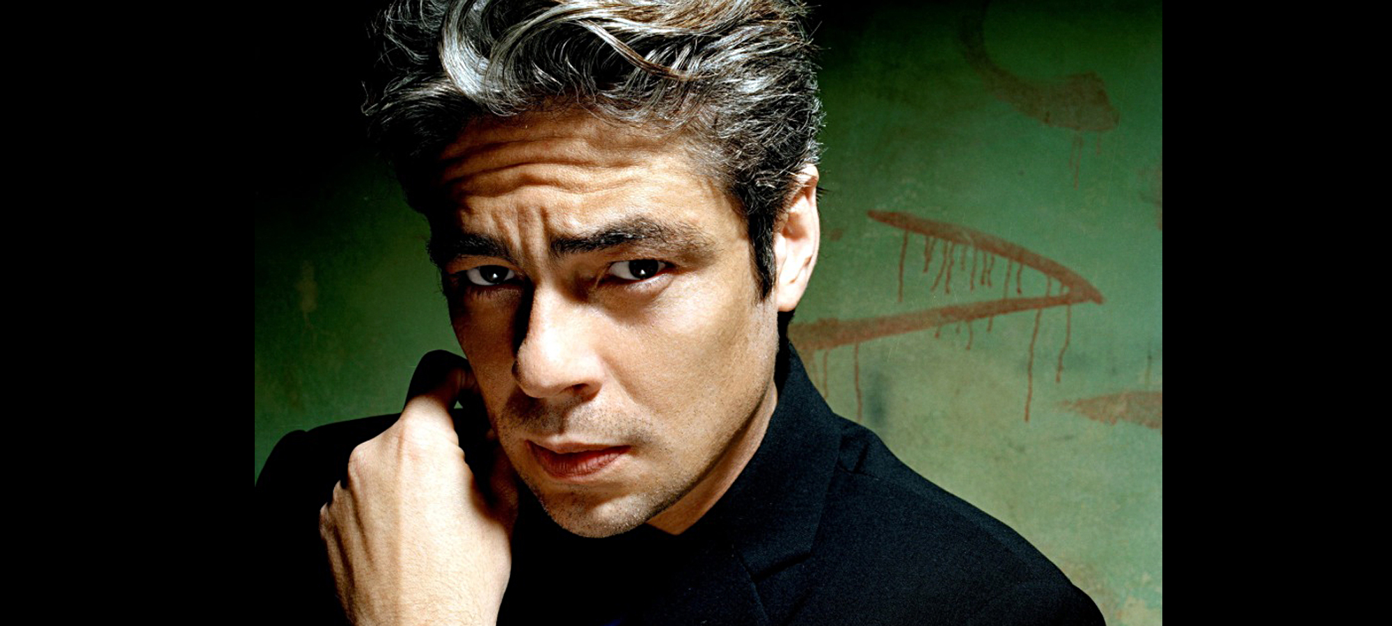 Benicio of the Bull